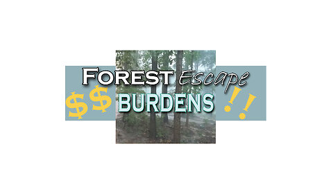 Forest Escape Get Rid of Burdens