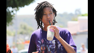 Willow Smith reportedly files for restraining order against alleged stalker