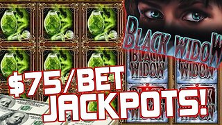 MEGA BONUS JACKPOT! 🕸️ Max Betting My All Time Favorite Slot Machine!