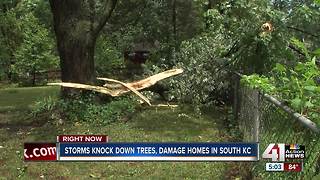 Midday storms down trees, power lines