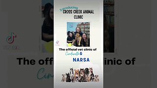 The official vet clinic of Cinderella and Narsa!