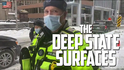 The Deep State Surfaces: 'Polite' Canadian Police Grab Her Phone, Force Her Out of 'Red Zone'