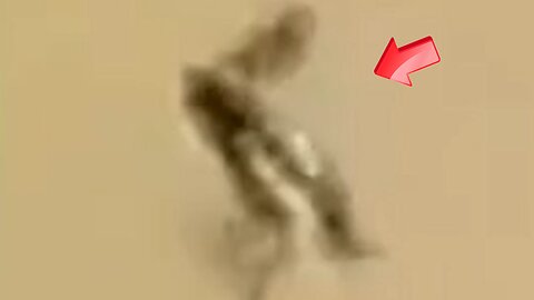 Is the mysterious creature that emerged from the forest a space alien?