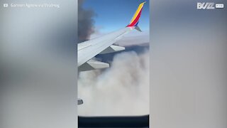 Terrifying moment aircraft passes by smoke cloud in California