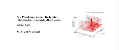 Die Pandemie in den Rohdaten