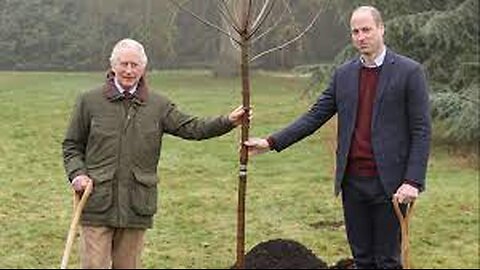 KATE MIDDLETON A RIGHT ROYAL SCANDAL! ROYAL FAMILY PLAY CLUEDO IN THE CASTLE DUNGEONS AS THE PLOT (GRAVE..) THICKENS! WHO DUNNIT?? CHARLES & WILLIAM BURY KATE'S BODY UNDER CARBON FREE TREE! THE PROVISIONAL IRA IRELAND SAY THEY PLANTED IT