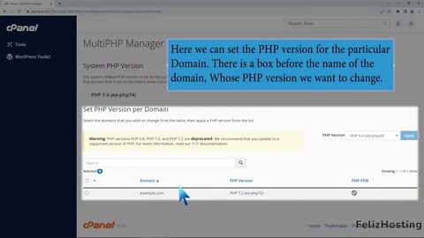 Learn how to change the PHP version on your domain using cPanel with FelizHosting