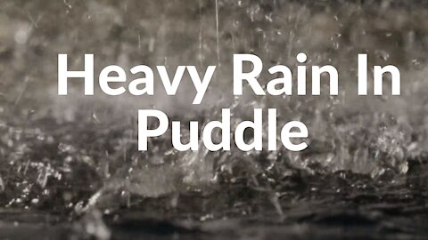 99% Of You Will Fall Asleep Immediately To These Rain Sounds Heavy Rain In A Puddle