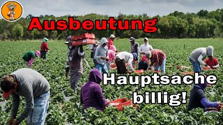 Billiges Essen zerstört unsere Lebensgrundlage!