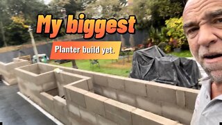 The biggest planter I’ve ever built
