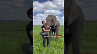 Meet the Elephant Boy