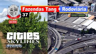 Cities Skylines: Fazendas Tang + Terminal Rodoviário Intermunicipal - São Ubira 37 - Ao Vivo.