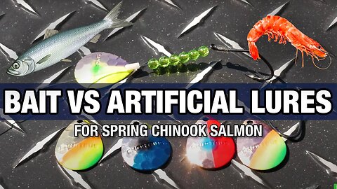 Herring & Prawns VS Spinners & Superbaits! (SALMON FISHING Tips & Tricks.)