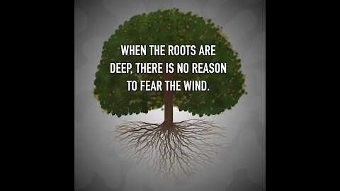Roots Deep Fear Wind [GMG Originals]