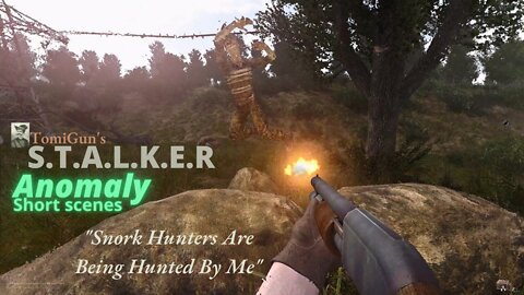 Snork Hunters Are Being Hunted By Me - S.T.A.L.K.E.R Anomaly #Shorts