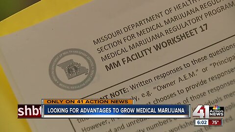 State receives 500 applications for medical marijuana in KCMO metro, 2,200 in state