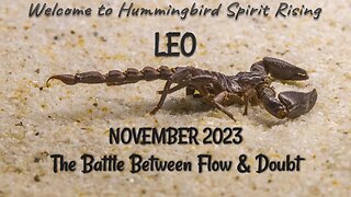 LEO November 2023 - The Battle Between Doubt & Flow