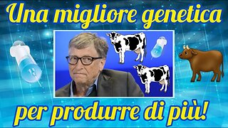 Bill Gates sta vaccinando il bestiame in Scozia!