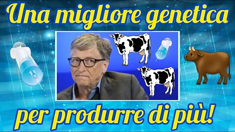 Bill Gates sta vaccinando il bestiame in Scozia!