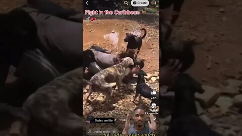 VERY explicit ⚠️Sad situation with dogs and owner 😢🤕 🆚guy #dog #shorts #animallife matters !