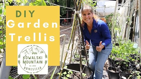 Easy DIY Garden Trellis | Thrifty Garden Trellis Using Supplies You Already Have | Container Garden