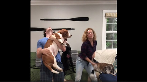 Epic family canine karaoke party