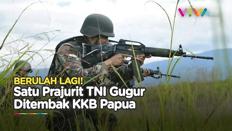 KONTAK TEMBAK! Anggota TNI Gugur Tertembak Peluru KKB di Papua