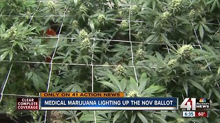 Voters split on medical marijuana proposals