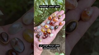 جمال الحجار السليمانية