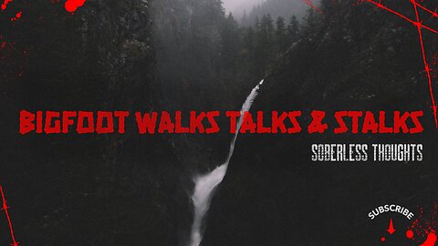 Bigfoot Walks Talks & Stalks