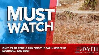 Only 5% of People Can Find The Cat in Under 30 Seconds... Can You?