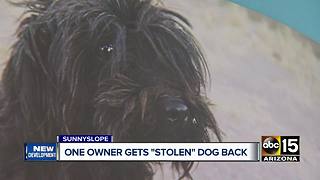 Phoenix pet owner gets dog returned