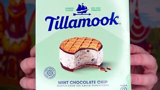 Tillamook Mint Chocolate Chip Waffle Cone Ice Cream Sandwich Review