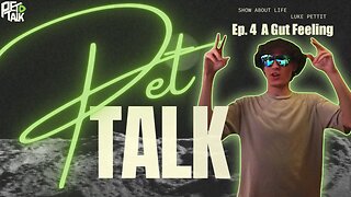 Pet Talk Podcast | Ep. 4 A Gut Feeling | Hosted By ImPettit