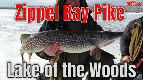 Ice Pike at Zippel Bay - Lake of the Woods