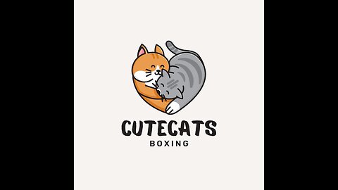 Funny Cats Boxing Match