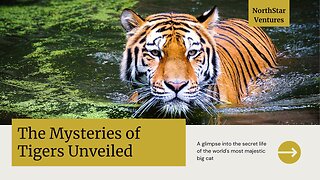 The Majestic World of Tigers: Unveiled Secrets