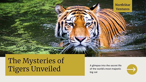 The Majestic World of Tigers: Unveiled Secrets