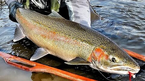 Steelhead Fishing TIPS - Reading Water & Finding STEELHEAD.