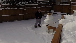 Amazing Snowman Bird Feeder, Build It And They Will Come