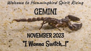 GEMINI November 2023 - "I Wanna Switch...!"