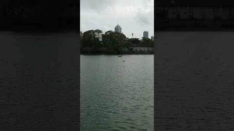 Boat Rowing Canoeing in Colombo Beira Lake.