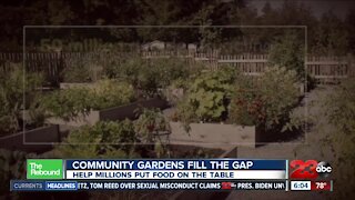 Community gardens are helping millions put food on the table