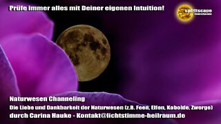 Channeling - Die Liebe und Dankbarkeit der Naturwesen (z.B. Feen, Elfen, Kobolde, Zwerge) - Carina