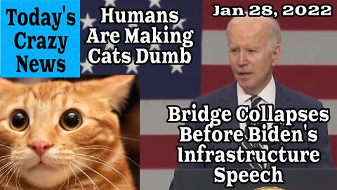 Today's Crazy News - Bridge Collapses Before Biden's Infrastructure Speech, We Are Making Cats Dumb