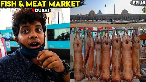 Dubai Fish & Meat Market - Sharjah | Irfan's View