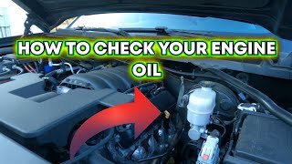 Learn to check your engine oil level
