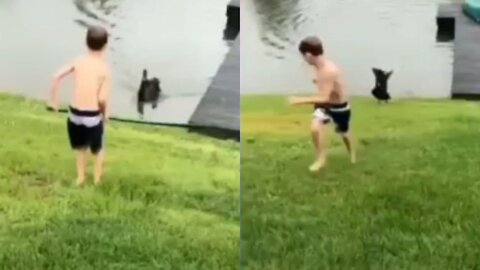 Boy running away from goose 🤯😱