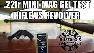 CCI MINI-MAG HP ~ Long Barrel vs Short Barrel in Ballistic Gel