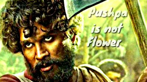 Pushpa is not Flower, Pushpa is Fire | Pushpa fire Ringtone | Allu Arjun | Yellow Ringtone